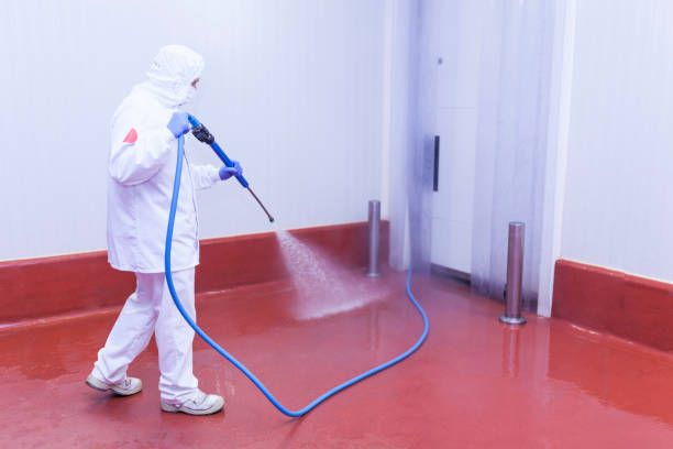 Spring Cleaning in Cadott, WI