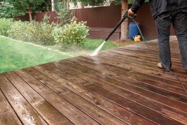Best Animal Enclosure Cleaning  in Cadott, WI